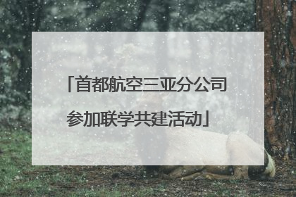 首都航空三亚分公司参加联学共建活动