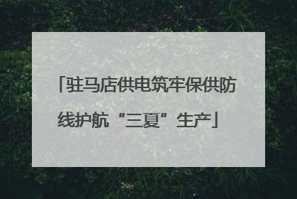 驻马店供电筑牢保供防线护航“三夏”生产
