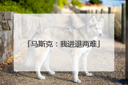 马斯克：我进退两难
