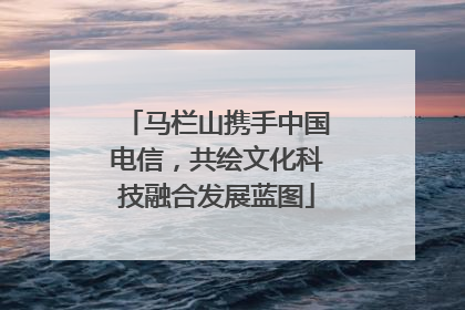 马栏山携手中国电信，共绘文化科技融合发展蓝图