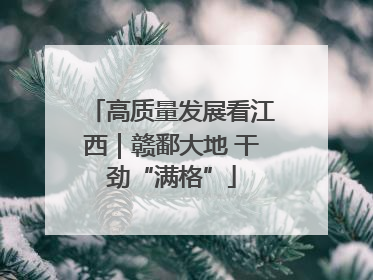 高质量发展看江西｜赣鄱大地 干劲“满格”