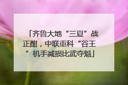 齐鲁大地“三夏”战正酣，中联重科“谷王”机手减损比武夺魁