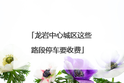 龙岩中心城区这些路段停车要收费