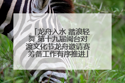 龙舟入水 踏浪轻舞 第十九届闽台对渡文化节龙舟邀请赛筹备工作有序推进