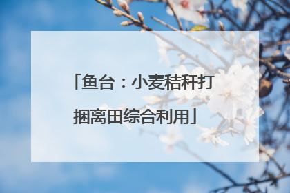 鱼台：小麦秸秆打捆离田综合利用