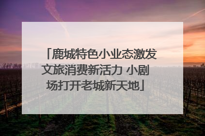 鹿城特色小业态激发文旅消费新活力 小剧场打开老城新天地