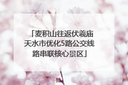 麦积山往返伏羲庙 天水市优化5路公交线路串联核心景区