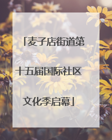 麦子店街道第十五届国际社区文化季启幕