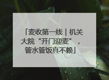 麦收第一线｜机关大院“开门迎麦”，管水管饭真不赖