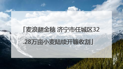 麦浪翻金穗 济宁市任城区32.28万亩小麦陆续开镰收割