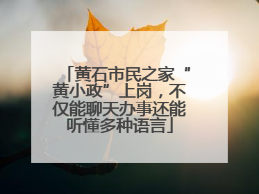 黄石市民之家“黄小政”上岗，不仅能聊天办事还能听懂多种语言