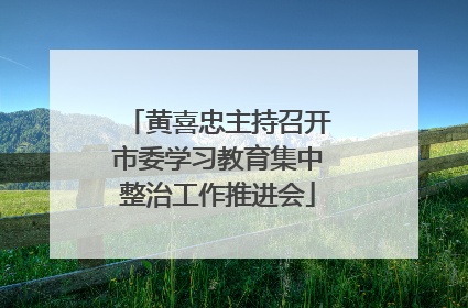 黄喜忠主持召开市委学习教育集中整治工作推进会