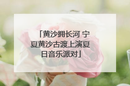 黄沙拥长河 宁夏黄沙古渡上演夏日音乐派对