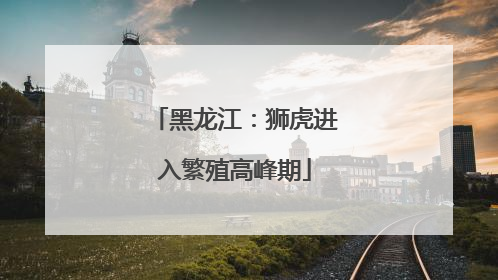 黑龙江：狮虎进入繁殖高峰期