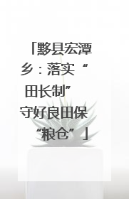 黟县宏潭乡：落实“田长制” 守好良田保“粮仓”