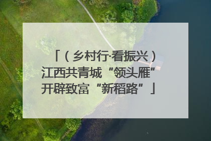 （乡村行·看振兴）江西共青城“领头雁”开辟致富“新稻路”