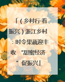 （乡村行·看振兴）浙江乡村：时令果蔬迎丰收 “甜蜜经济”促振兴