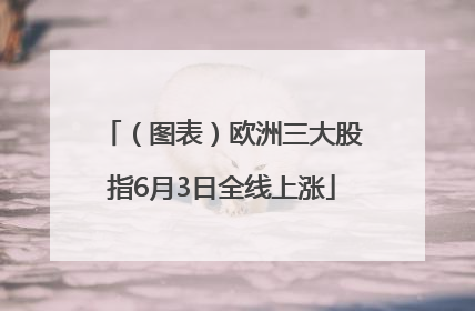 （图表）欧洲三大股指6月3日全线上涨