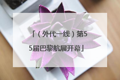 （外代一线）第55届巴黎航展开幕