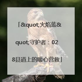 "火焰蓝"守护者：028县道上的暖心营救