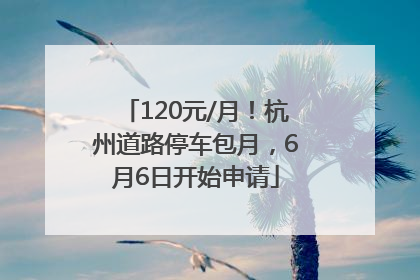 120元/月！杭州道路停车包月，6月6日开始申请