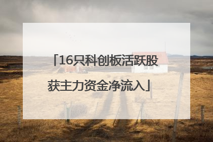 16只科创板活跃股获主力资金净流入