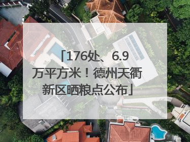 176处、6.9万平方米！德州天衢新区晒粮点公布