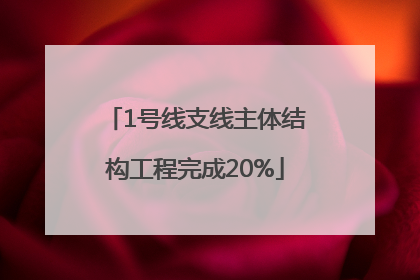 1号线支线主体结构工程完成20%
