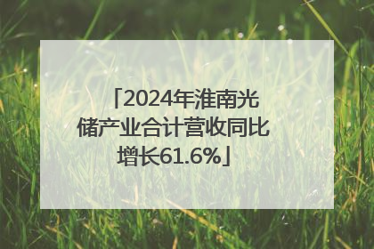 2024年淮南光储产业合计营收同比增长61.6%