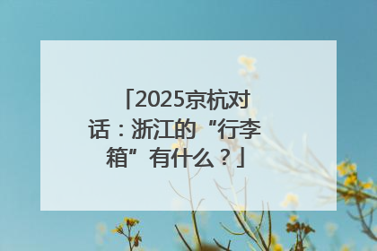 2025京杭对话：浙江的“行李箱”有什么？