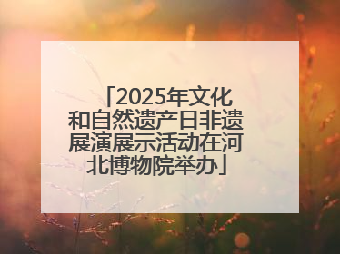 2025年文化和自然遗产日非遗展演展示活动在河北博物院举办