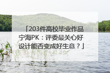 203件高校毕业作品宁海PK：评委最关心好设计能否变成好生意？