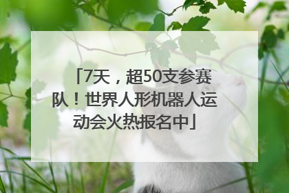 7天，超50支参赛队！世界人形机器人运动会火热报名中
