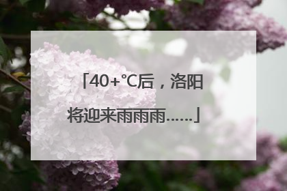 40+℃后，洛阳将迎来雨雨雨……