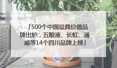 500个中国最具价值品牌出炉，五粮液、长虹、通威等14个四川品牌上榜