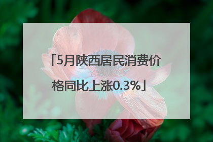 5月陕西居民消费价格同比上涨0.3%