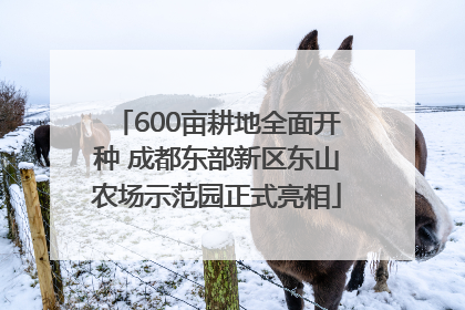 600亩耕地全面开种 成都东部新区东山农场示范园正式亮相
