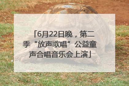 6月22日晚，第二季“放声歌唱”公益童声合唱音乐会上演