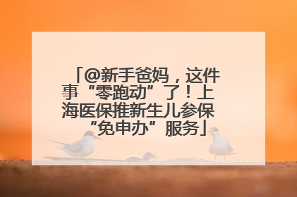 @新手爸妈，这件事“零跑动”了！上海医保推新生儿参保“免申办”服务