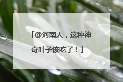@河南人，这种神奇叶子该吃了！