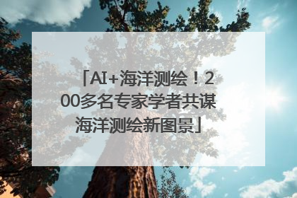 AI+海洋测绘！200多名专家学者共谋海洋测绘新图景