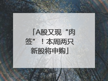 A股又现“肉签”！本周两只新股将申购