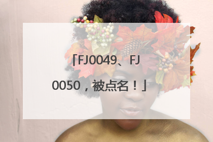 FJ0049、FJ0050，被点名！