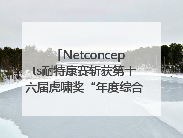 Netconcepts耐特康赛斩获第十六届虎啸奖“年度综合服务商”大奖
