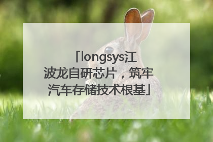 longsys江波龙自研芯片，筑牢汽车存储技术根基